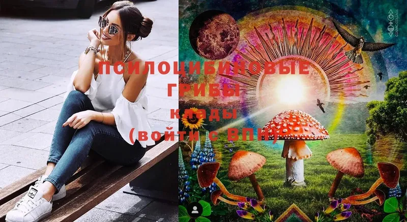 купить закладку  Вилючинск  Галлюциногенные грибы MAGIC MUSHROOMS 